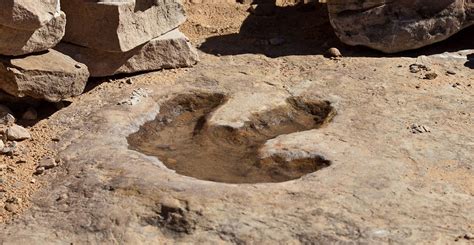 how are footprint fossils formed.